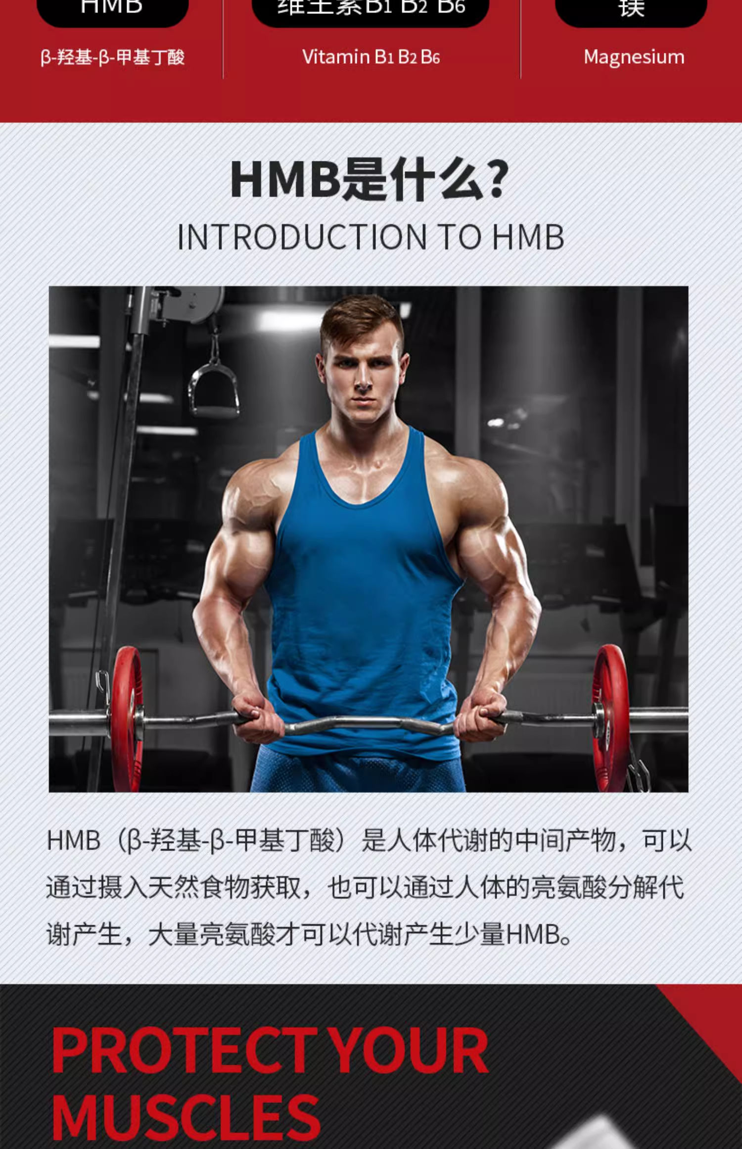 赛霸HMB肌肉合成剂2.jpg